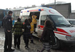 Kim bu magandalar?..